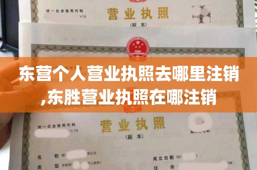 东营个人营业执照去哪里注销,东胜营业执照在哪注销