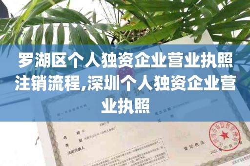 罗湖区个人独资企业营业执照注销流程,深圳个人独资企业营业执照