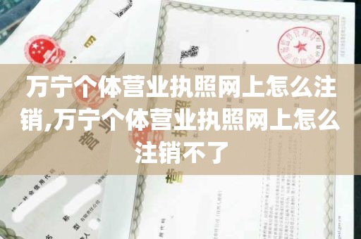 万宁个体营业执照网上怎么注销,万宁个体营业执照网上怎么注销不了