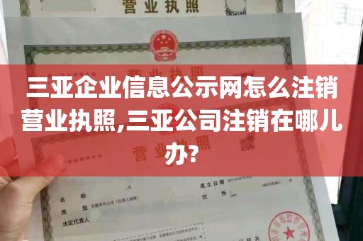 三亚企业信息公示网怎么注销营业执照,三亚公司注销在哪儿办?