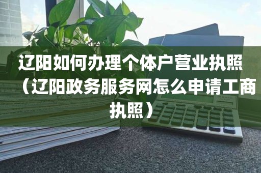 辽阳如何办理个体户营业执照（辽阳政务服务网怎么申请工商执照）