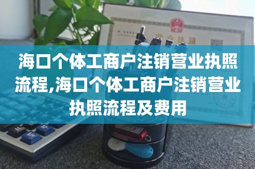 海口个体工商户注销营业执照流程,海口个体工商户注销营业执照流程及费用