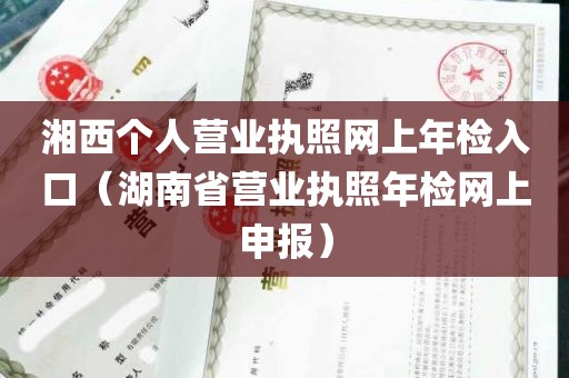 湘西个人营业执照网上年检入口（湖南省营业执照年检网上申报）