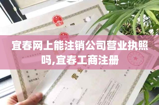 宜春网上能注销公司营业执照吗,宜春工商注册