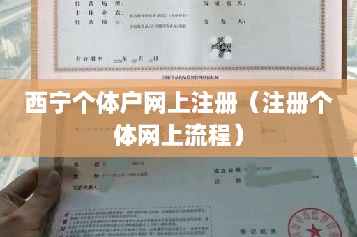 西宁个体户网上注册（注册个体网上流程）