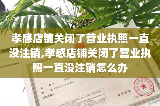 孝感店铺关闭了营业执照一直没注销,孝感店铺关闭了营业执照一直没注销怎么办