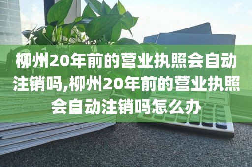 柳州20年前的营业执照会自动注销吗,柳州20年前的营业执照会自动注销吗怎么办