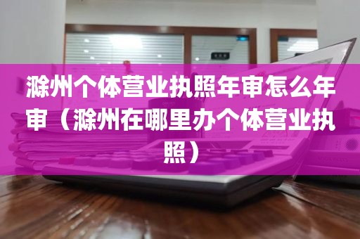 滁州个体营业执照年审怎么年审（滁州在哪里办个体营业执照）