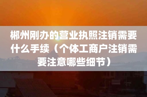 郴州刚办的营业执照注销需要什么手续（个体工商户注销需要注意哪些细节）