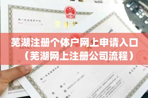 芜湖注册个体户网上申请入口（芜湖网上注册公司流程）