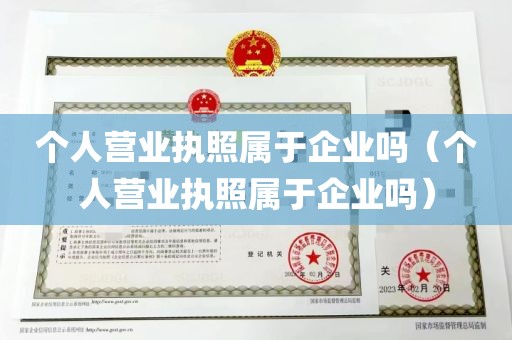 个人营业执照属于企业吗（个人营业执照属于企业吗）