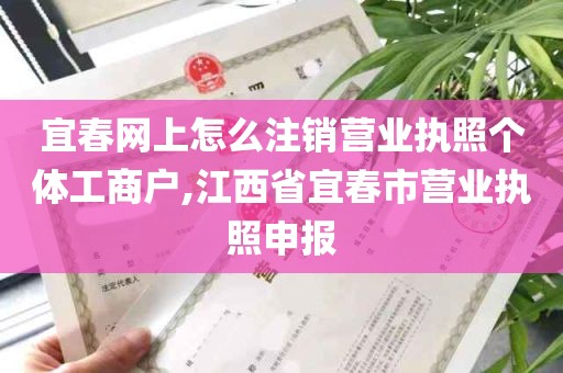 宜春网上怎么注销营业执照个体工商户,江西省宜春市营业执照申报