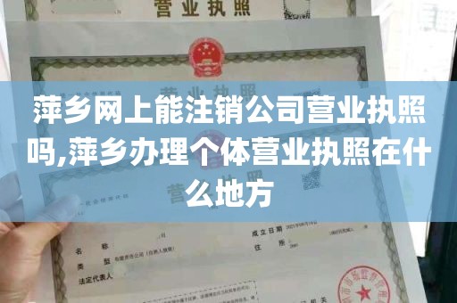 萍乡网上能注销公司营业执照吗,萍乡办理个体营业执照在什么地方