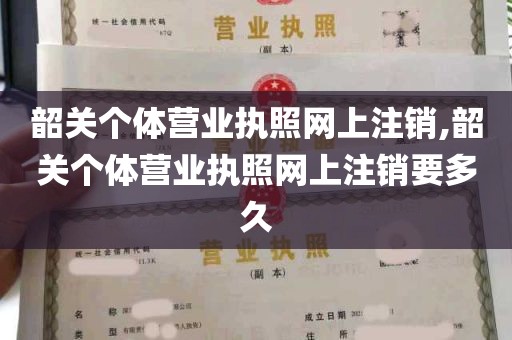 韶关个体营业执照网上注销,韶关个体营业执照网上注销要多久