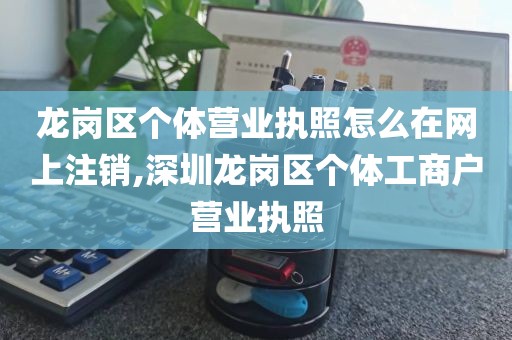 龙岗区个体营业执照怎么在网上注销,深圳龙岗区个体工商户营业执照