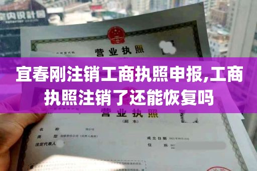 宜春刚注销工商执照申报,工商执照注销了还能恢复吗