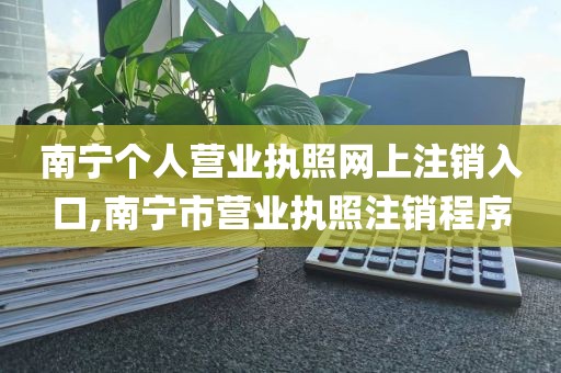 南宁个人营业执照网上注销入口,南宁市营业执照注销程序