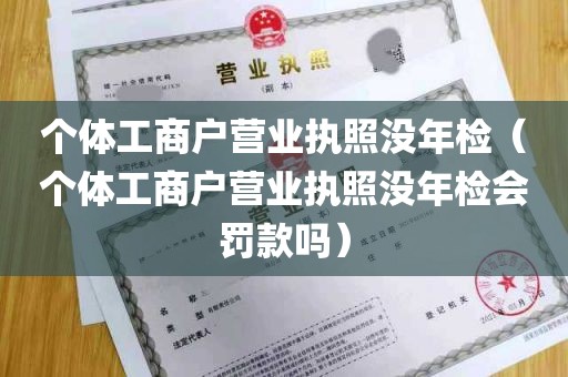 个体工商户营业执照没年检（个体工商户营业执照没年检会罚款吗）