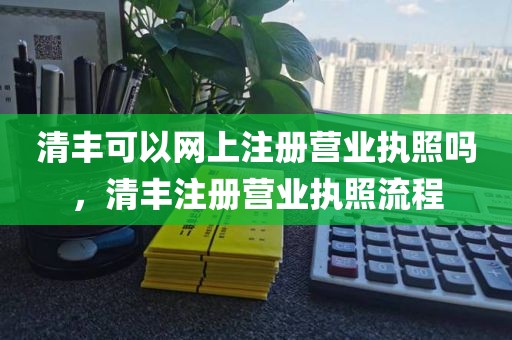 清丰可以网上注册营业执照吗，清丰注册营业执照流程