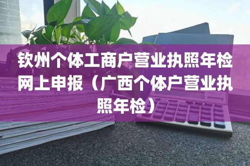 钦州个体工商户营业执照年检网上申报（广西个体户营业执照年检）