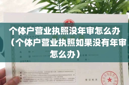 个体户营业执照没年审怎么办（个体户营业执照如果没有年审怎么办）