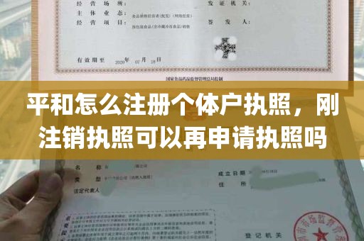 平和怎么注册个体户执照，刚注销执照可以再申请执照吗