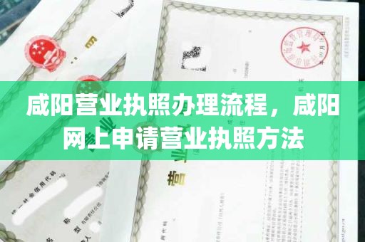 咸阳营业执照办理流程，咸阳网上申请营业执照方法
