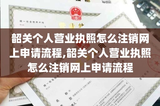 韶关个人营业执照怎么注销网上申请流程,韶关个人营业执照怎么注销网上申请流程