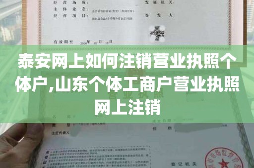 泰安网上如何注销营业执照个体户,山东个体工商户营业执照网上注销