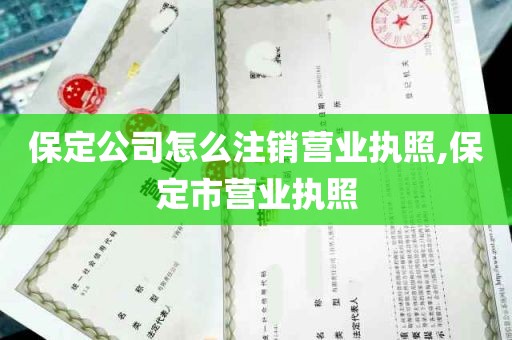 保定公司怎么注销营业执照,保定市营业执照