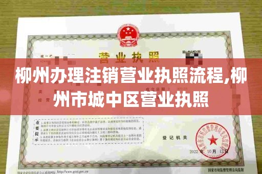 柳州办理注销营业执照流程,柳州市城中区营业执照