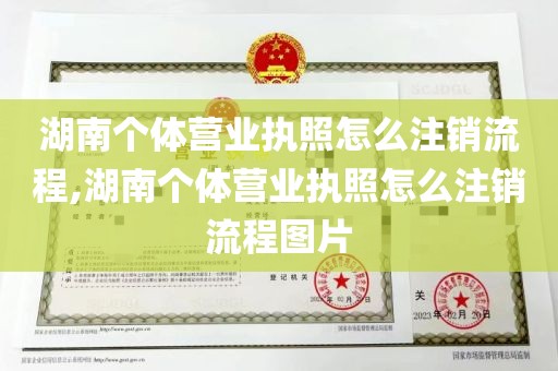 湖南个体营业执照怎么注销流程,湖南个体营业执照怎么注销流程图片