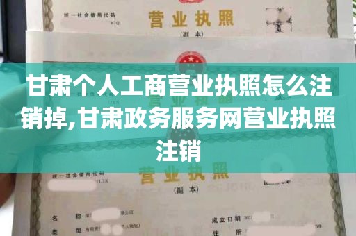 甘肃个人工商营业执照怎么注销掉,甘肃政务服务网营业执照注销