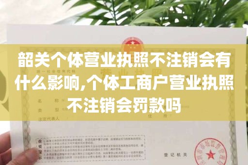 韶关个体营业执照不注销会有什么影响,个体工商户营业执照不注销会罚款吗