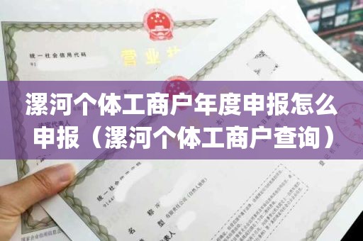 漯河个体工商户年度申报怎么申报（漯河个体工商户查询）