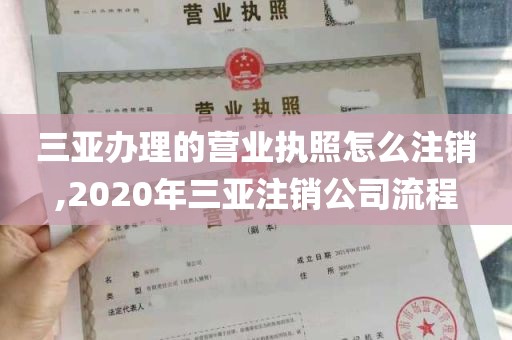 三亚办理的营业执照怎么注销,2020年三亚注销公司流程