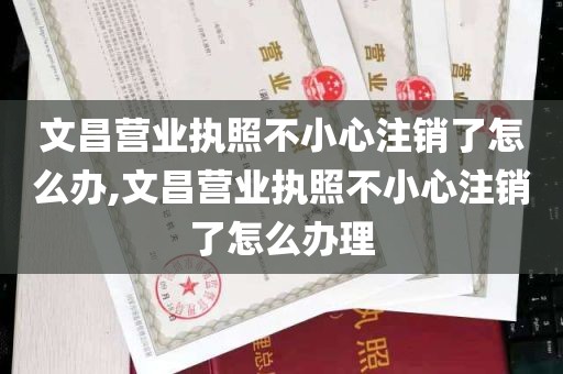 文昌营业执照不小心注销了怎么办,文昌营业执照不小心注销了怎么办理