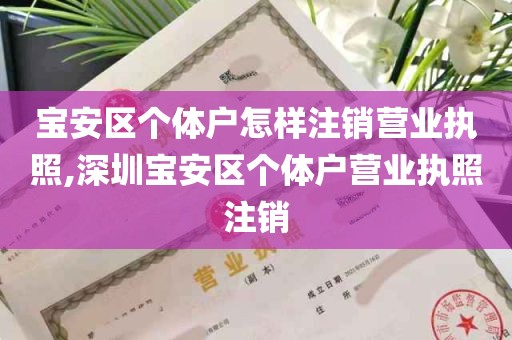 宝安区个体户怎样注销营业执照,深圳宝安区个体户营业执照注销