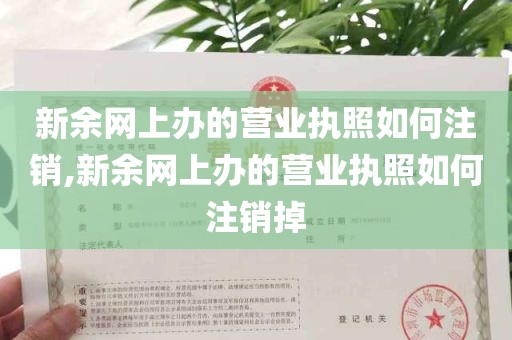 新余网上办的营业执照如何注销,新余网上办的营业执照如何注销掉