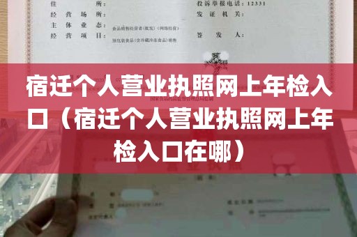 宿迁个人营业执照网上年检入口（宿迁个人营业执照网上年检入口在哪）