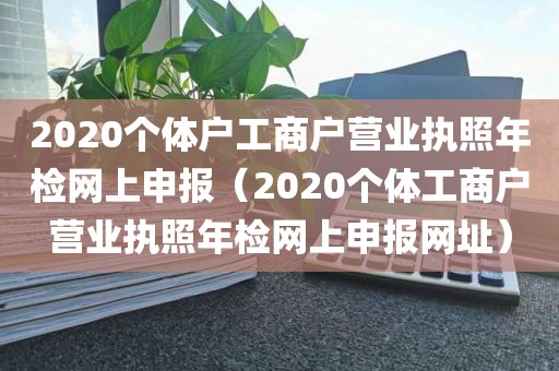 2020个体户工商户营业执照年检网上申报（2020个体工商户营业执照年检网上申报网址）