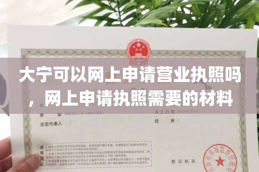 大宁可以网上申请营业执照吗，网上申请执照需要的材料