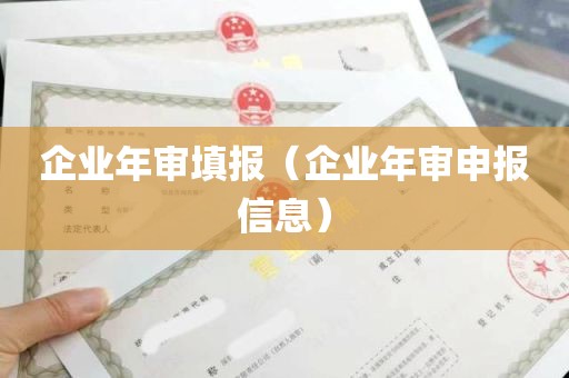 企业年审填报（企业年审申报信息）