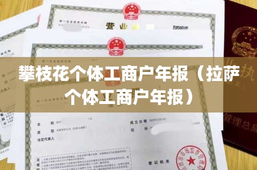 攀枝花个体工商户年报（拉萨个体工商户年报）