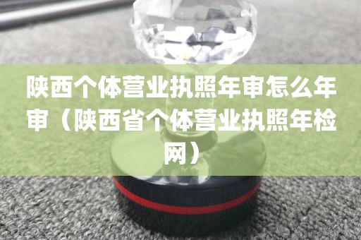 陕西个体营业执照年审怎么年审（陕西省个体营业执照年检网）