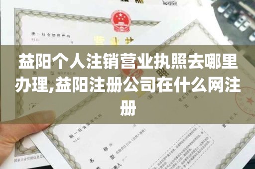 益阳个人注销营业执照去哪里办理,益阳注册公司在什么网注册