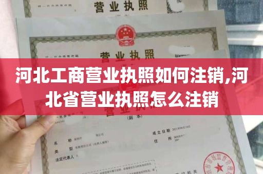 河北工商营业执照如何注销,河北省营业执照怎么注销