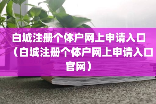 白城注册个体户网上申请入口（白城注册个体户网上申请入口官网）