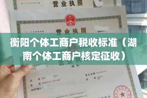 衡阳个体工商户税收标准（湖南个体工商户核定征收）