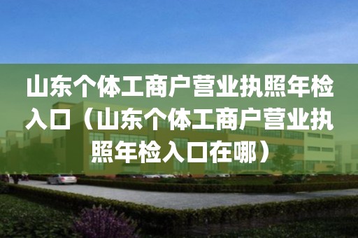 山东个体工商户营业执照年检入口（山东个体工商户营业执照年检入口在哪）